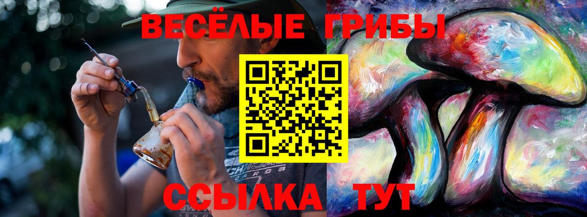 Галлюциногенные грибы ЛСД Нерюнгри