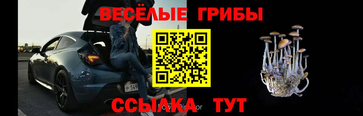 Псилоцибиновые грибы Psilocybe  цены наркотик  Галлюциногенные грибы мухоморы  Нерюнгри  Вход с VPN 